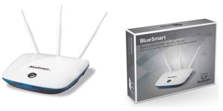 bluesmart